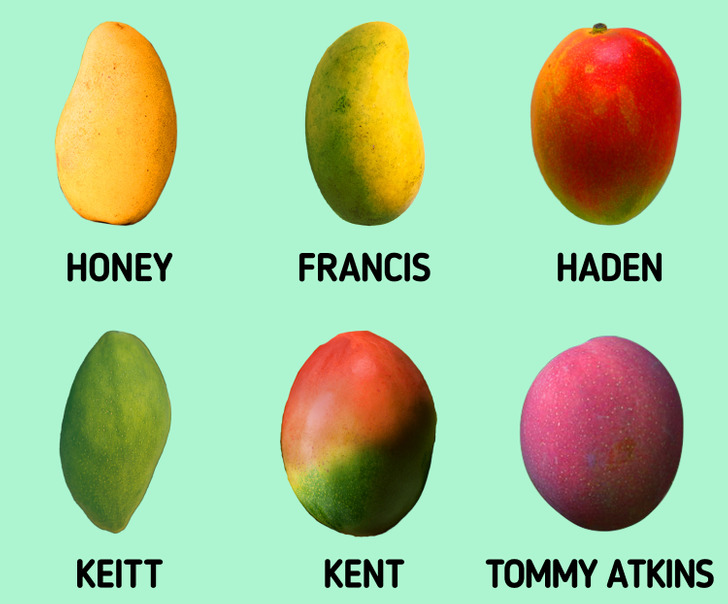 How to Grow Mango Plants: A Comprehensive Guide