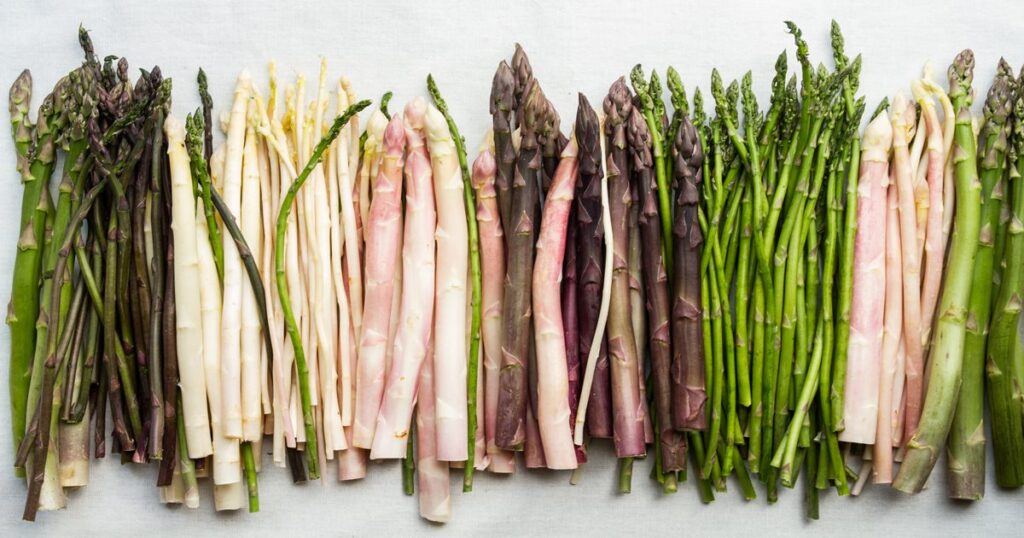 How to Grow Asparagus Plants: From Planting to Harvesting