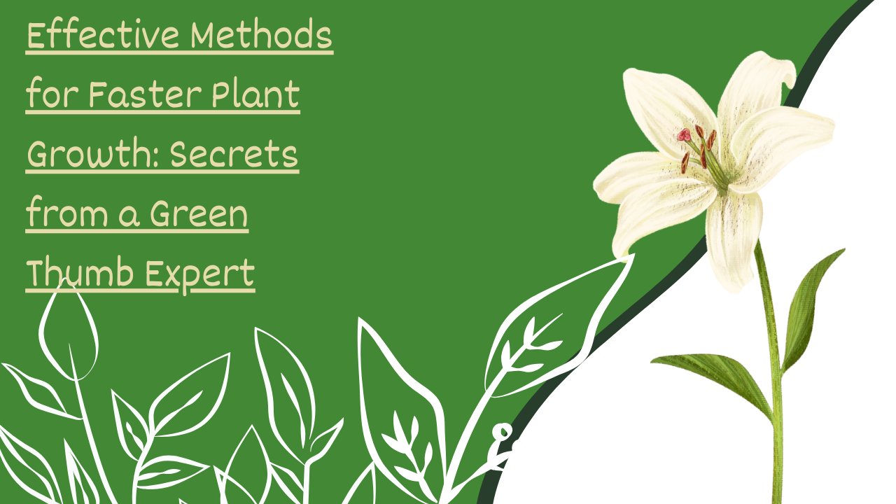 Effective Methods for Faster Plant Growth: Secrets from a Green Thumb Expert