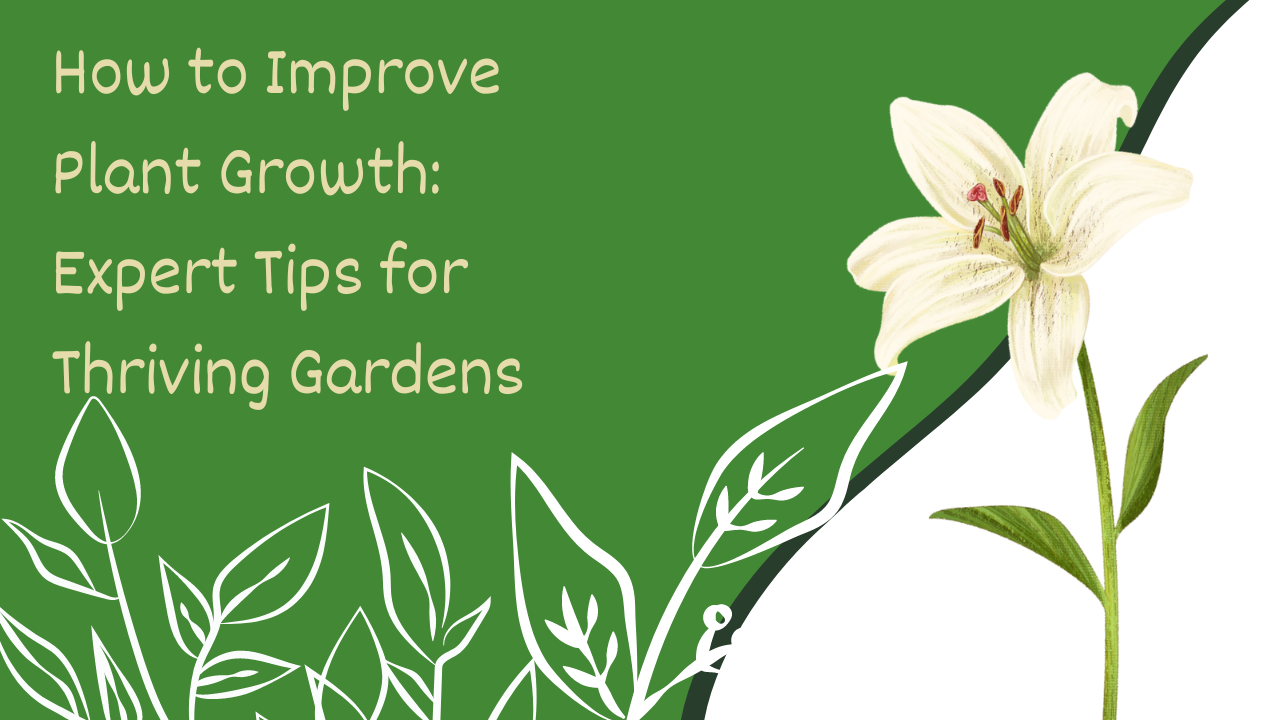 How to Improve Plant Growth: Expert Tips for Thriving Gardens