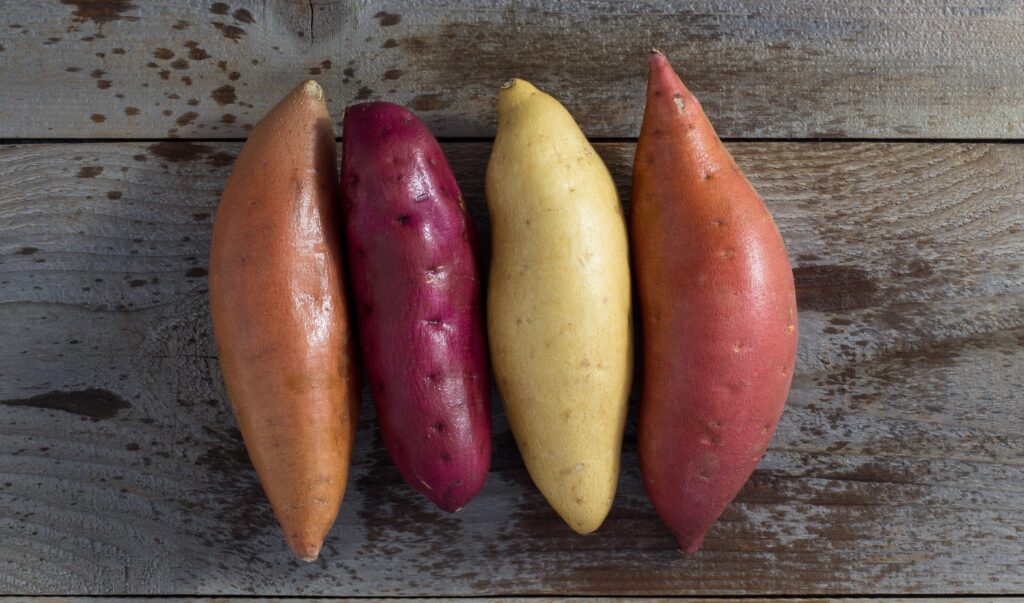 How to Grow a Sweet Potato Plant: A Delicious Journey from Slip to Harvest