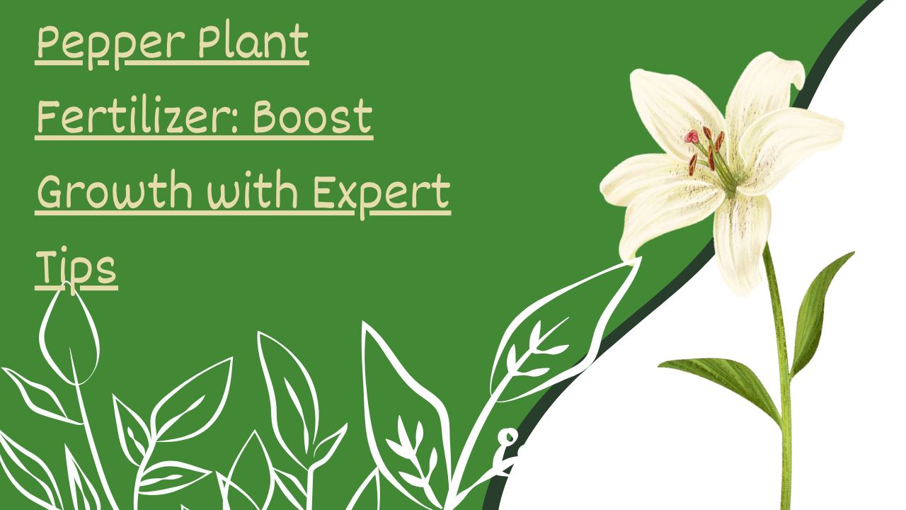 Pepper Plant Fertilizer: Boost Growth with Expert Tips