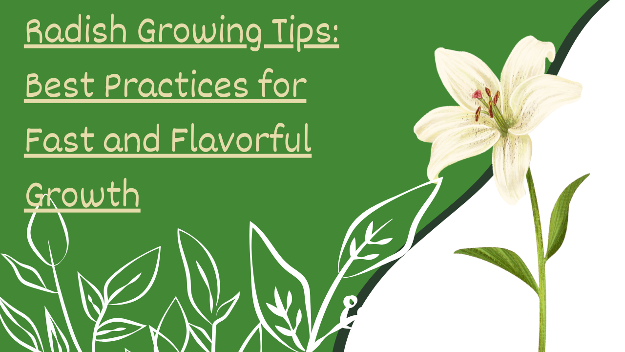 Radish Growing Tips: Best Practices for Fast and Flavorful Growth