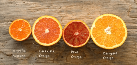 How to Grow Orange Plant: Expert Advice for Thriving Oranges