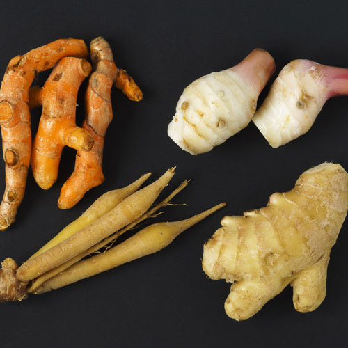 How to Grow Ginger Plant at Home: Essential Steps and Care