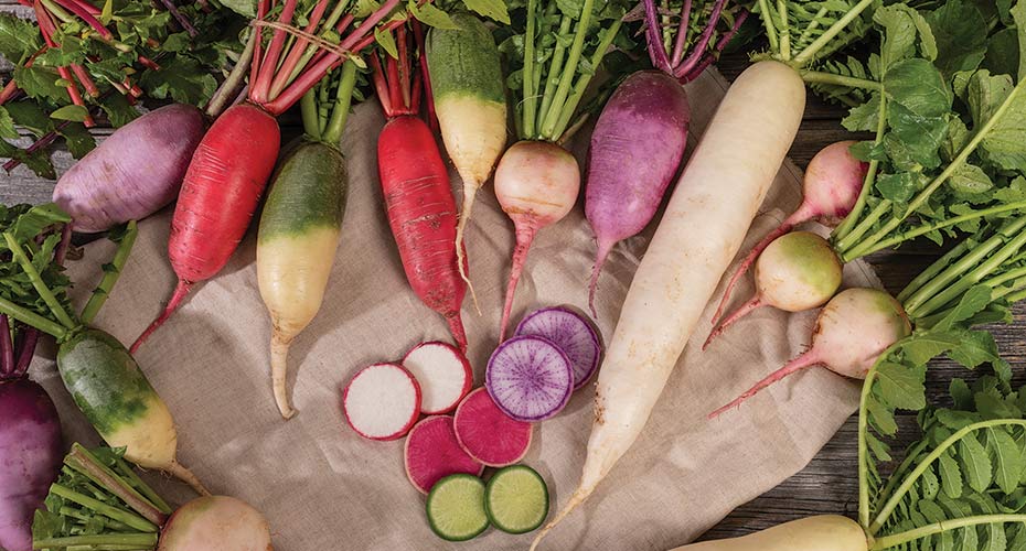 Radish Growing Tips: Best Practices for Fast and Flavorful Growth