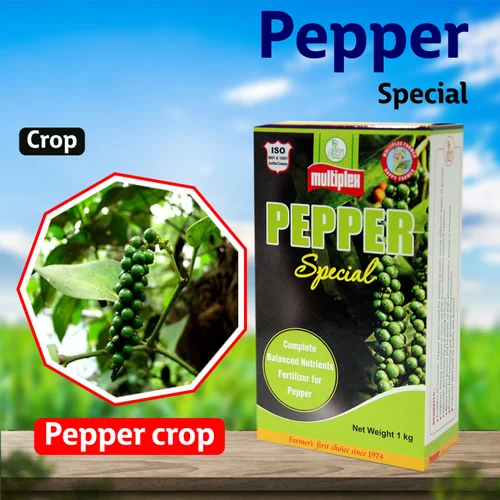 How to Grow Peppercorn Plant: Expert Advice for Thriving Peppercorns