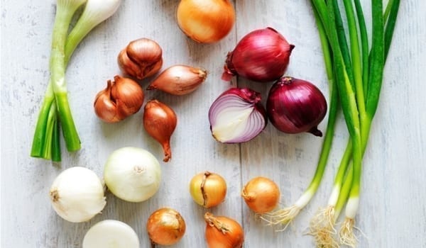 How to Grow Onion: Expert Advice for Thriving Onions