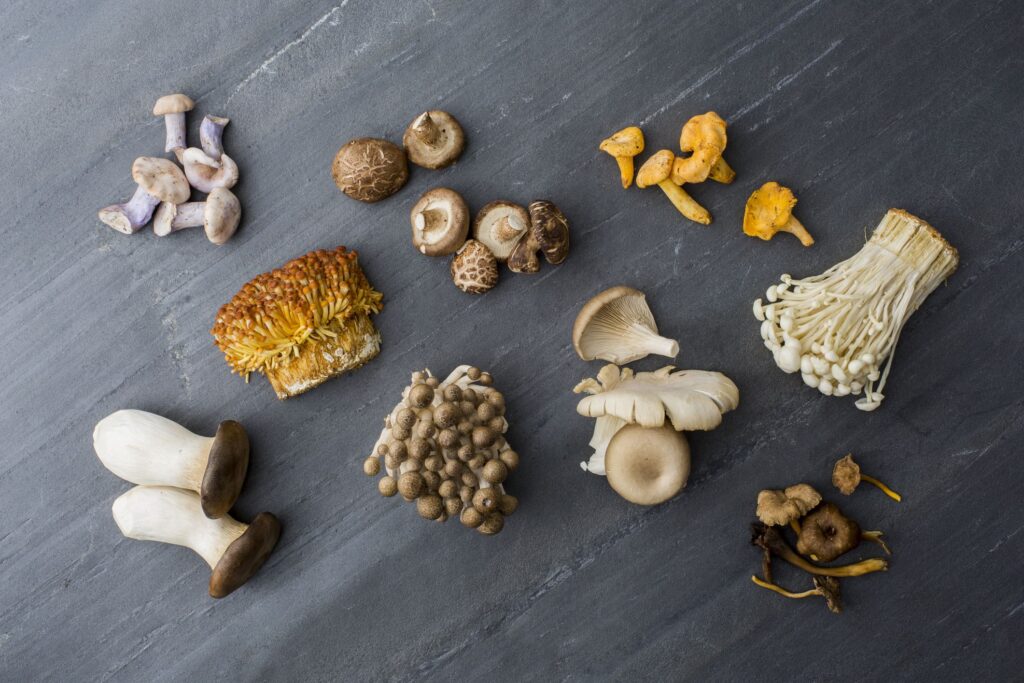 How to Grow Mushrooms: Expert Tips for a Bountiful Harvest